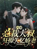 闪婚甜妻总裁大叔夜